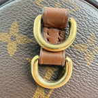 Louis Vuitton Papillon Trunk Felt Brown Shoulder Bag