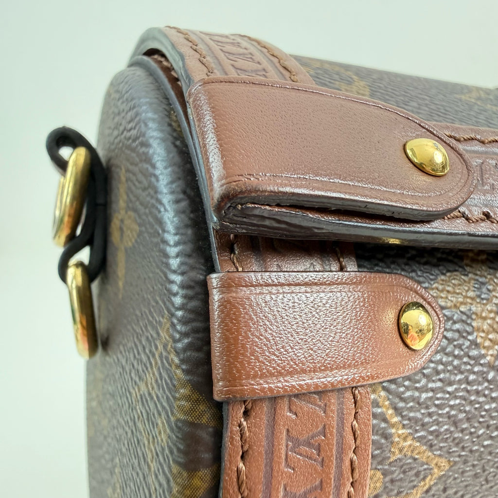 Louis Vuitton Papillon Trunk Felt Brown Shoulder Bag