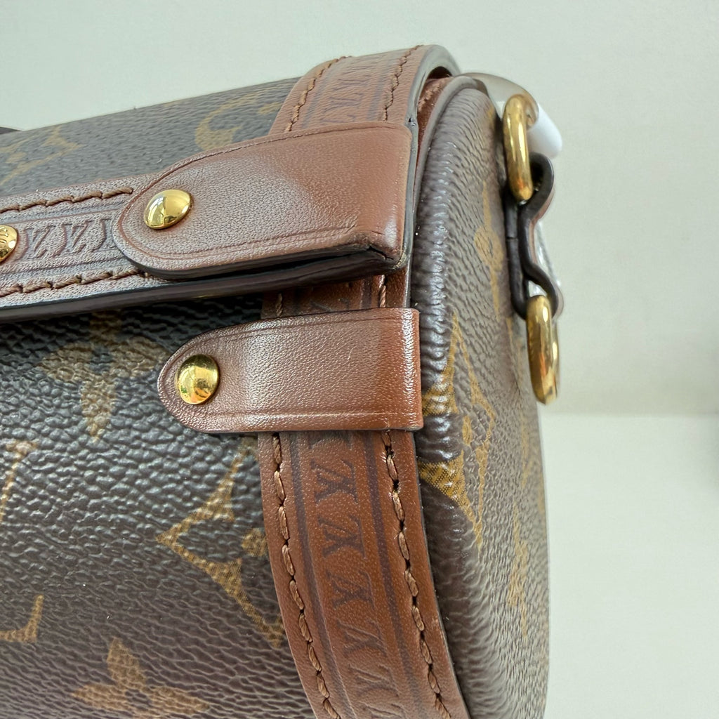 Louis Vuitton Papillon Trunk Felt Brown Shoulder Bag