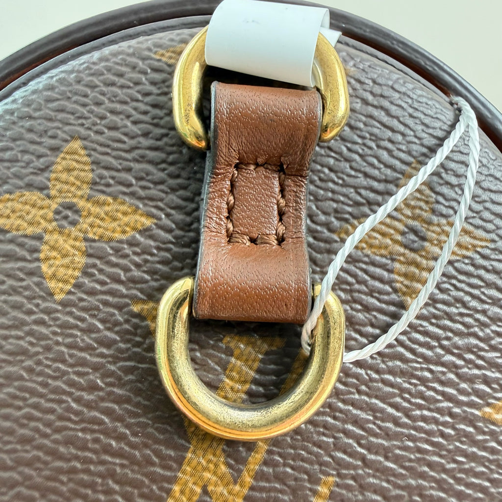 Louis Vuitton Papillon Trunk Felt Brown Shoulder Bag