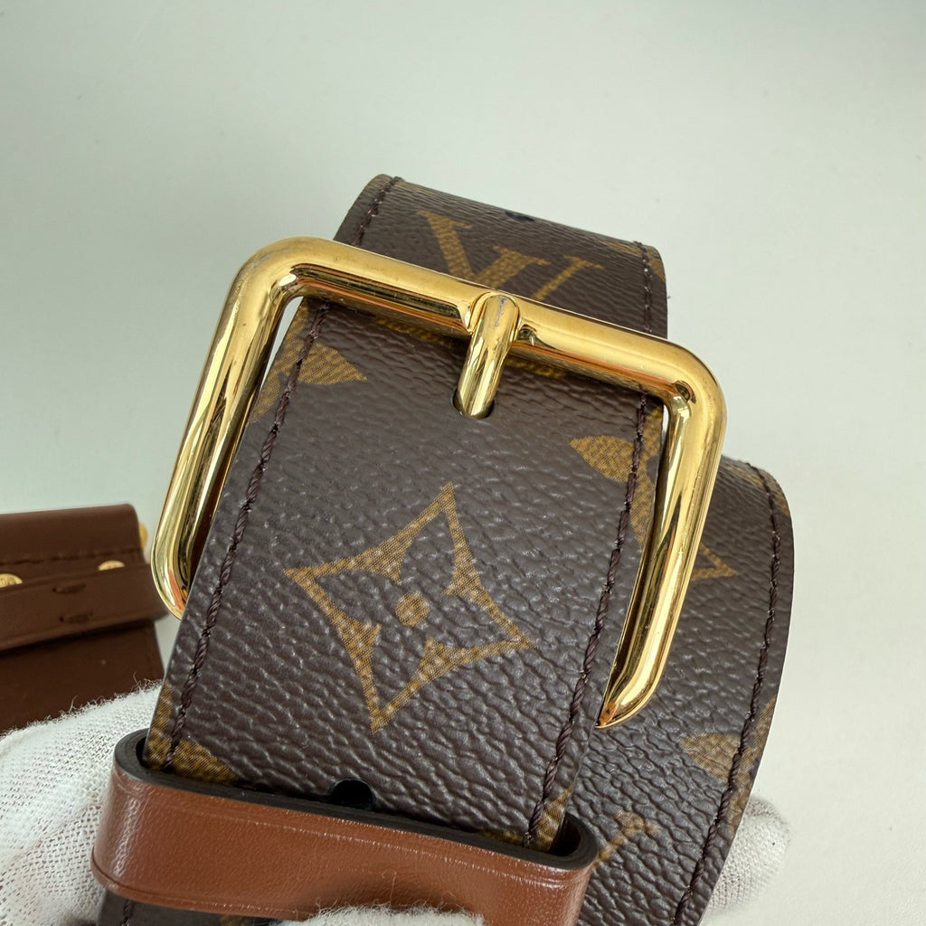 Louis Vuitton Papillon Trunk Felt Brown Shoulder Bag
