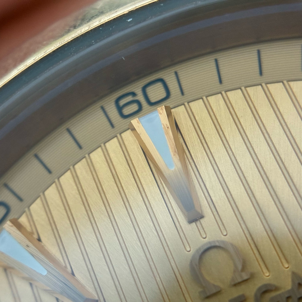 Omega Seahorse 41.5 millimeters 231.20.42.21.08.001