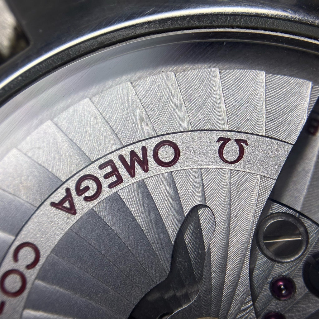 Omega Seahorse 41.5 millimeters 231.20.42.21.08.001