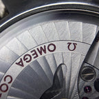 Omega Seahorse 41.5 millimeters 231.20.42.21.08.001