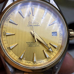 Omega Seahorse 41.5 millimeters 231.20.42.21.08.001