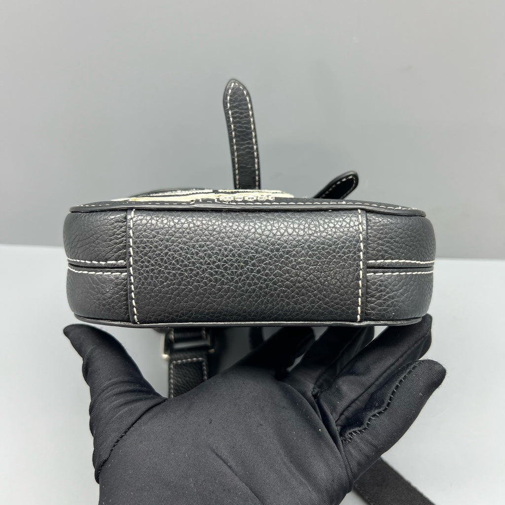 Dior Saddle Bag