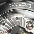 Omega Seahorse Series 45.5  215.92.46.22.01.007