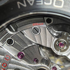 Omega Seahorse Series 45.5  215.92.46.22.01.007