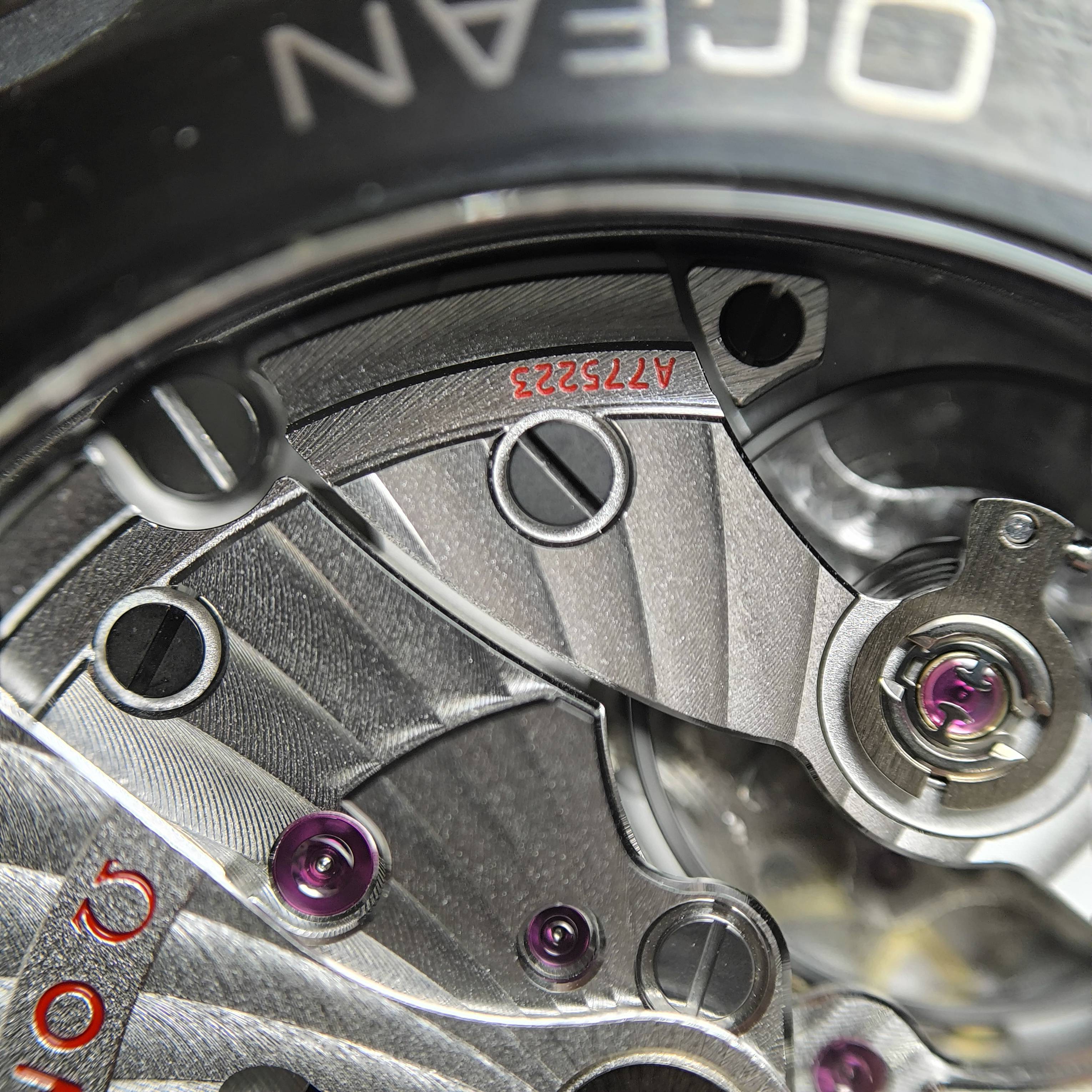 Omega Seahorse Series 45.5  215.92.46.22.01.007