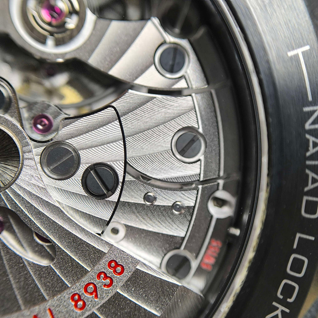 Omega Seahorse Series 45.5  215.92.46.22.01.007
