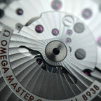 Omega Seahorse Series 45.5  215.92.46.22.01.007
