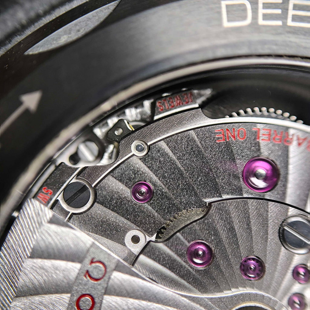 Omega Seahorse Series 45.5  215.92.46.22.01.007