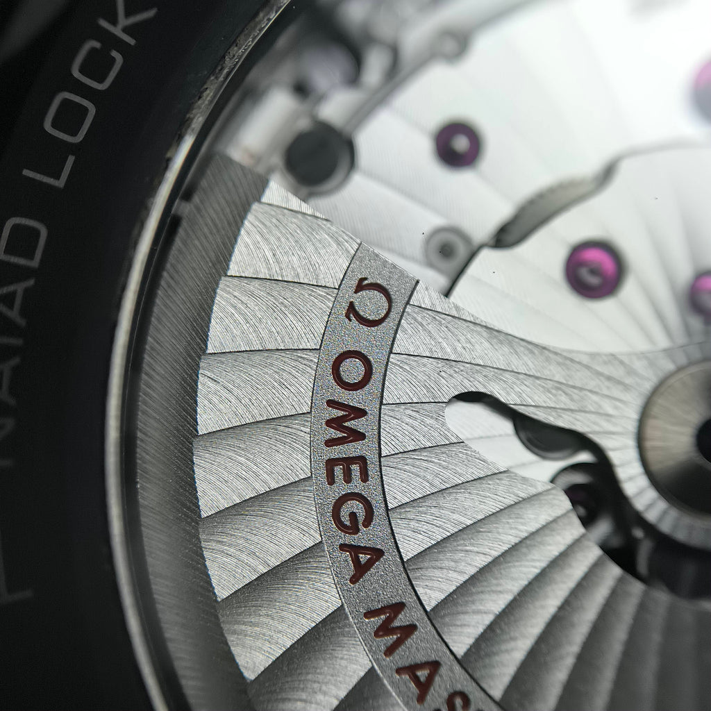Omega Seahorse Series 45.5  215.92.46.22.01.007