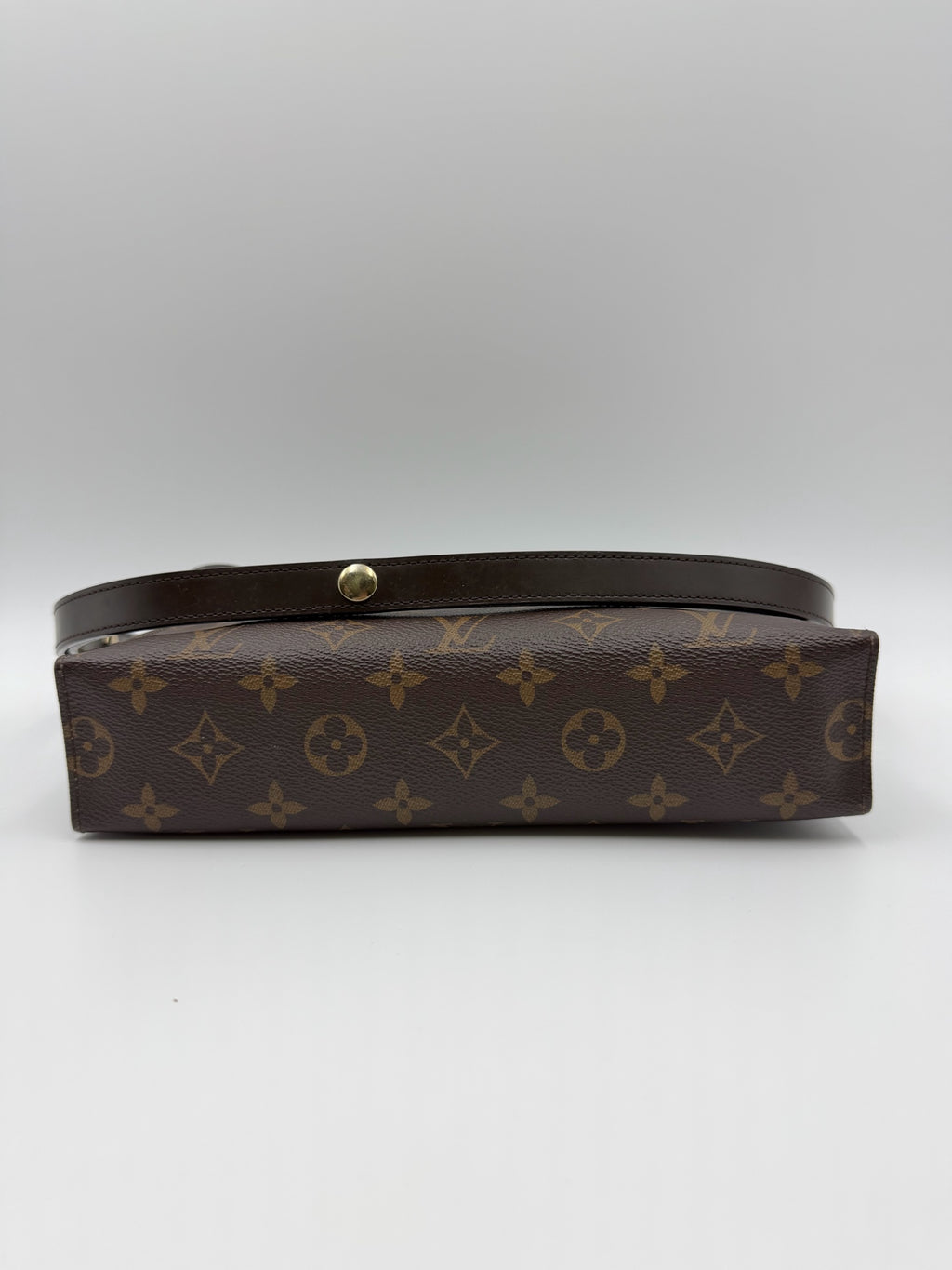 Louis Vuitton Canvas