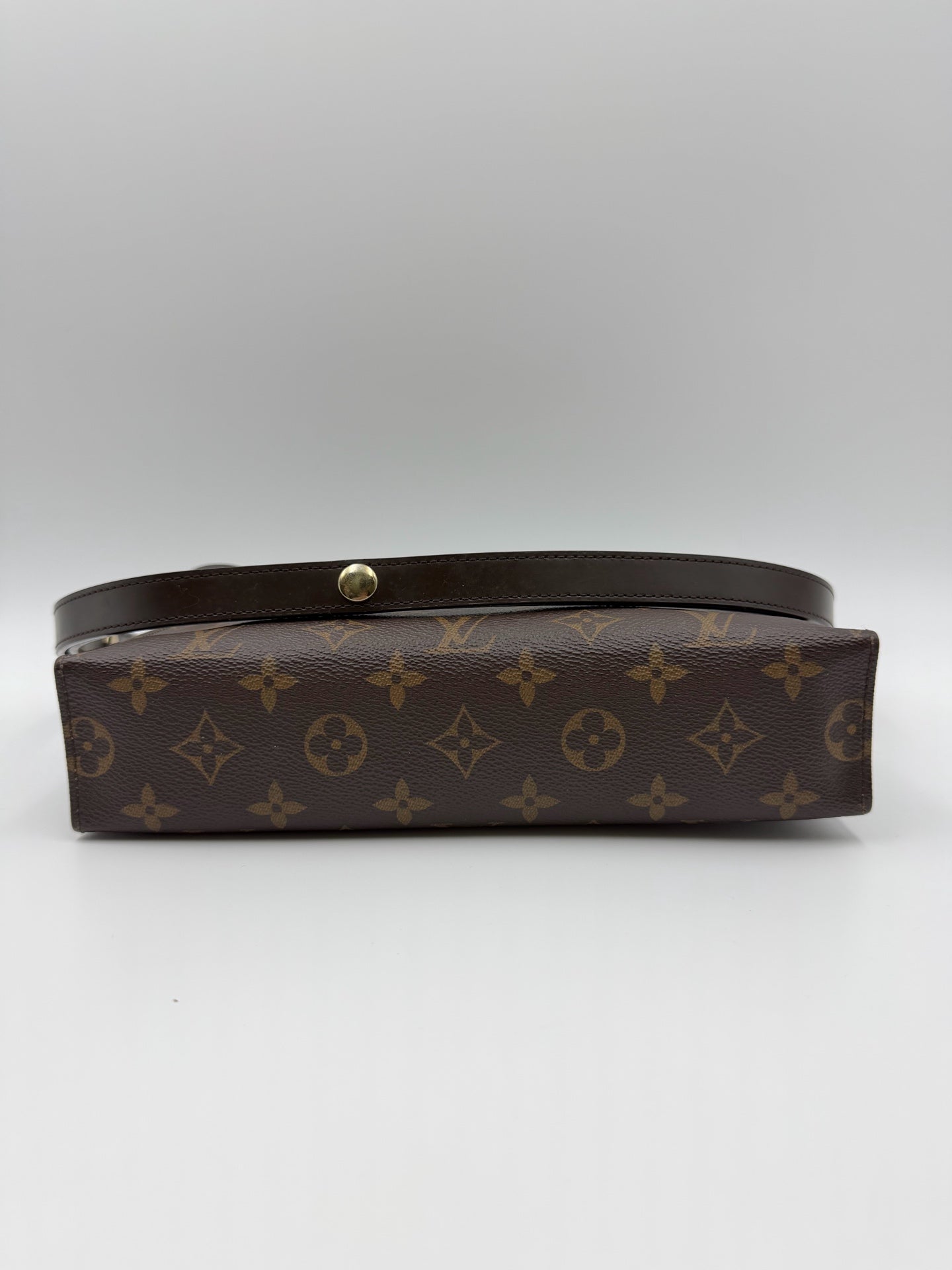 Louis Vuitton Canvas