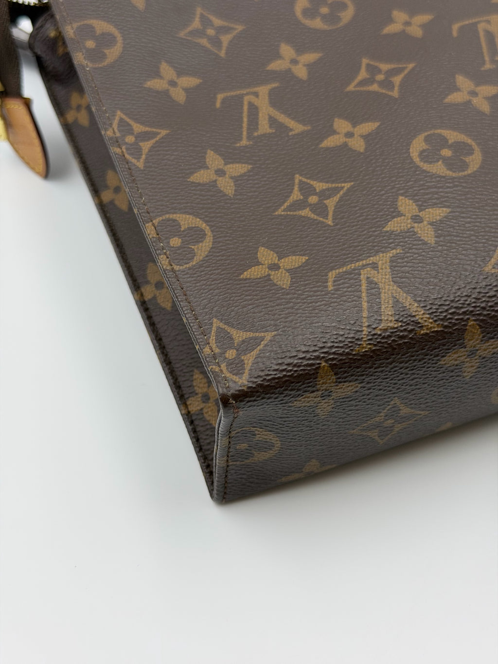 Louis Vuitton Canvas