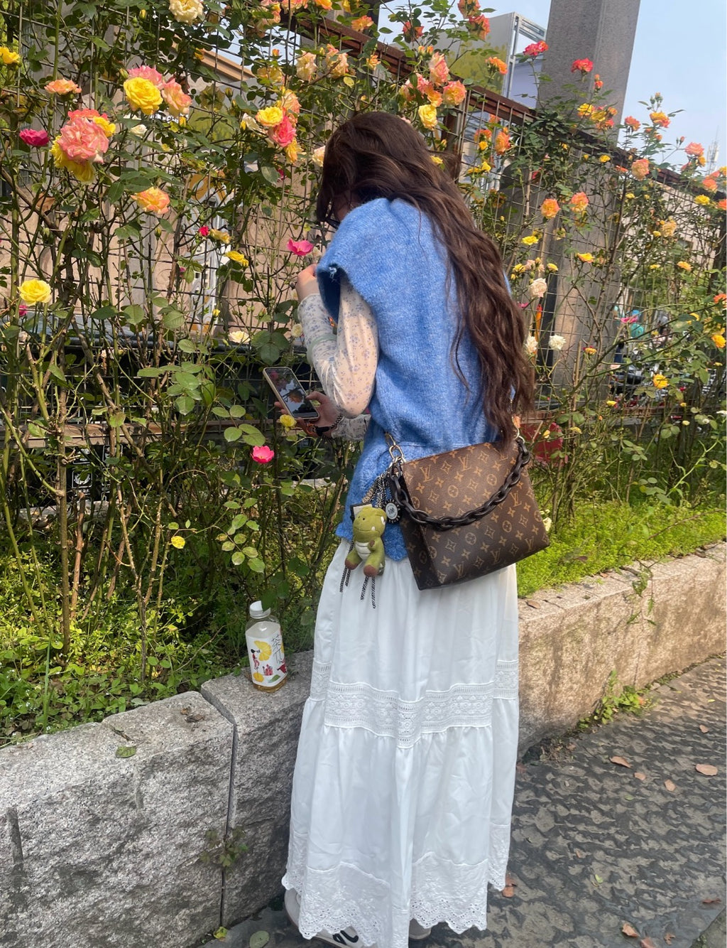 Louis Vuitton Canvas