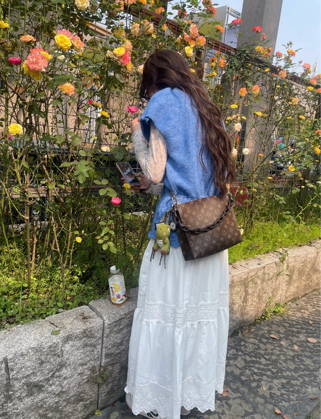 Louis Vuitton Canvas