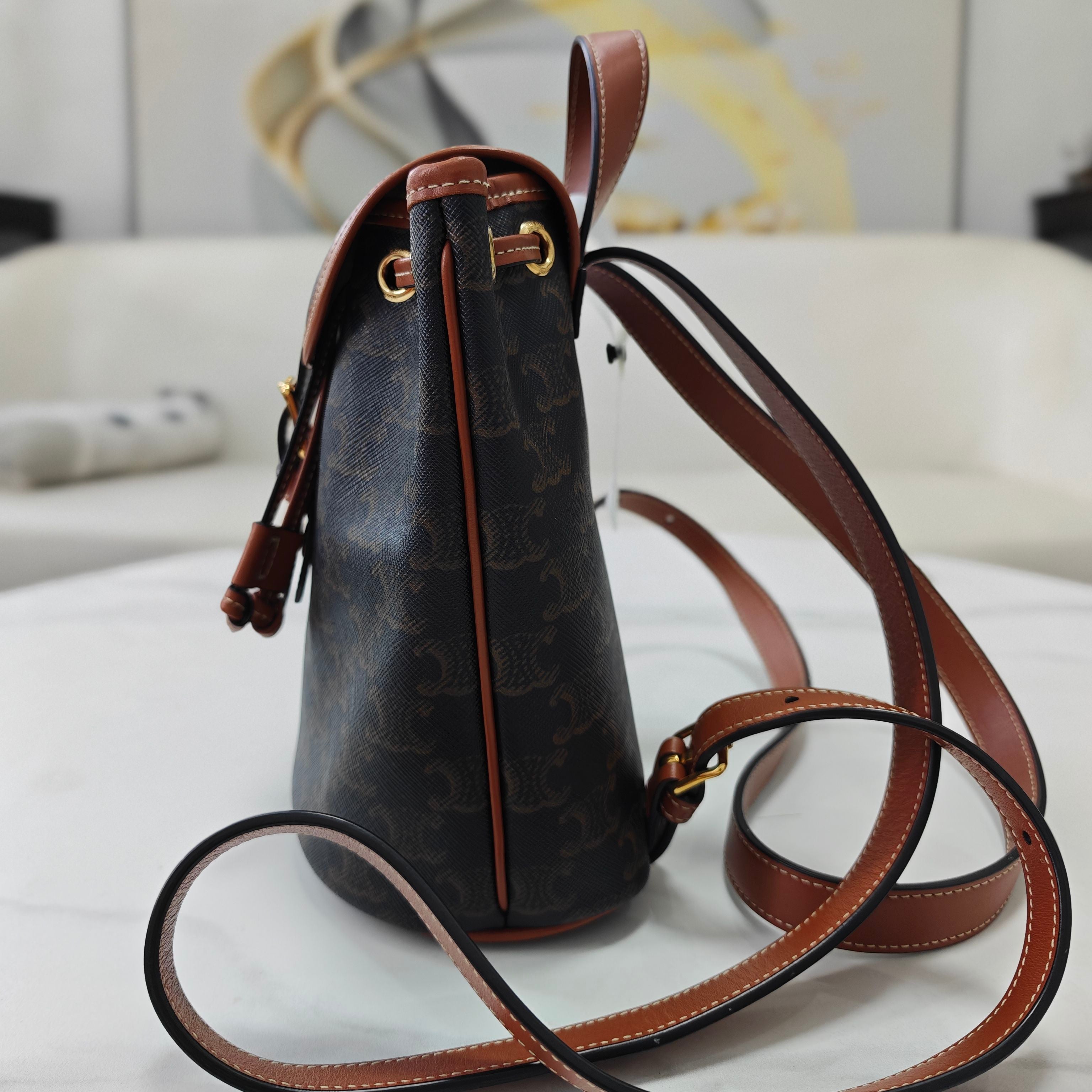 Celine Canvas Backpack