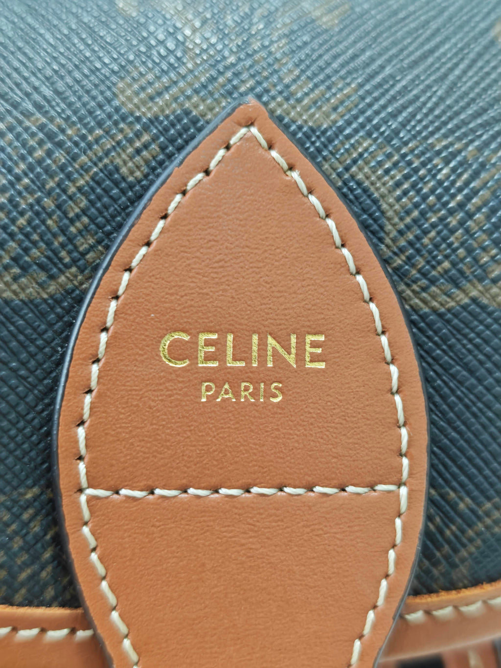 Celine Canvas Backpack
