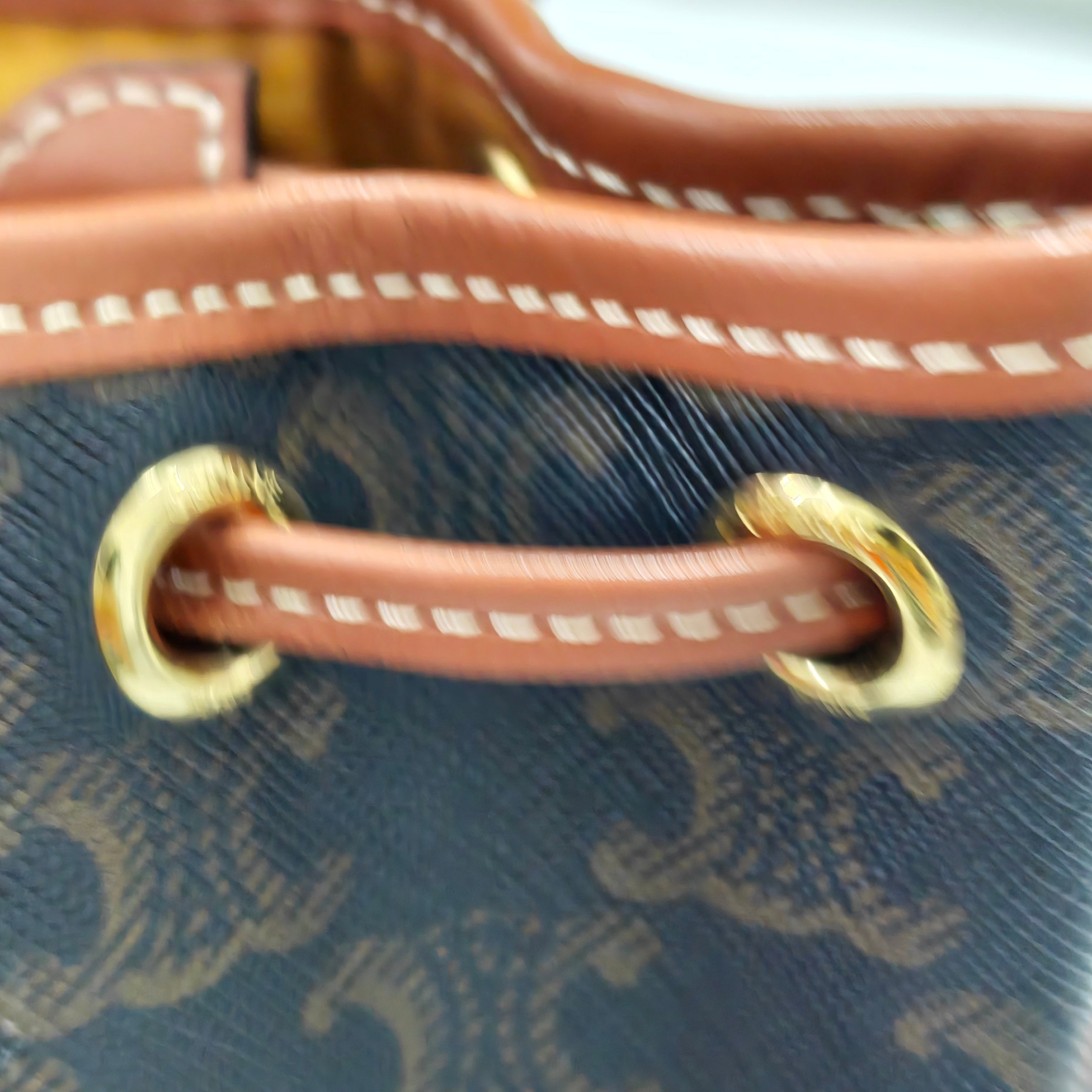 Celine Canvas Backpack