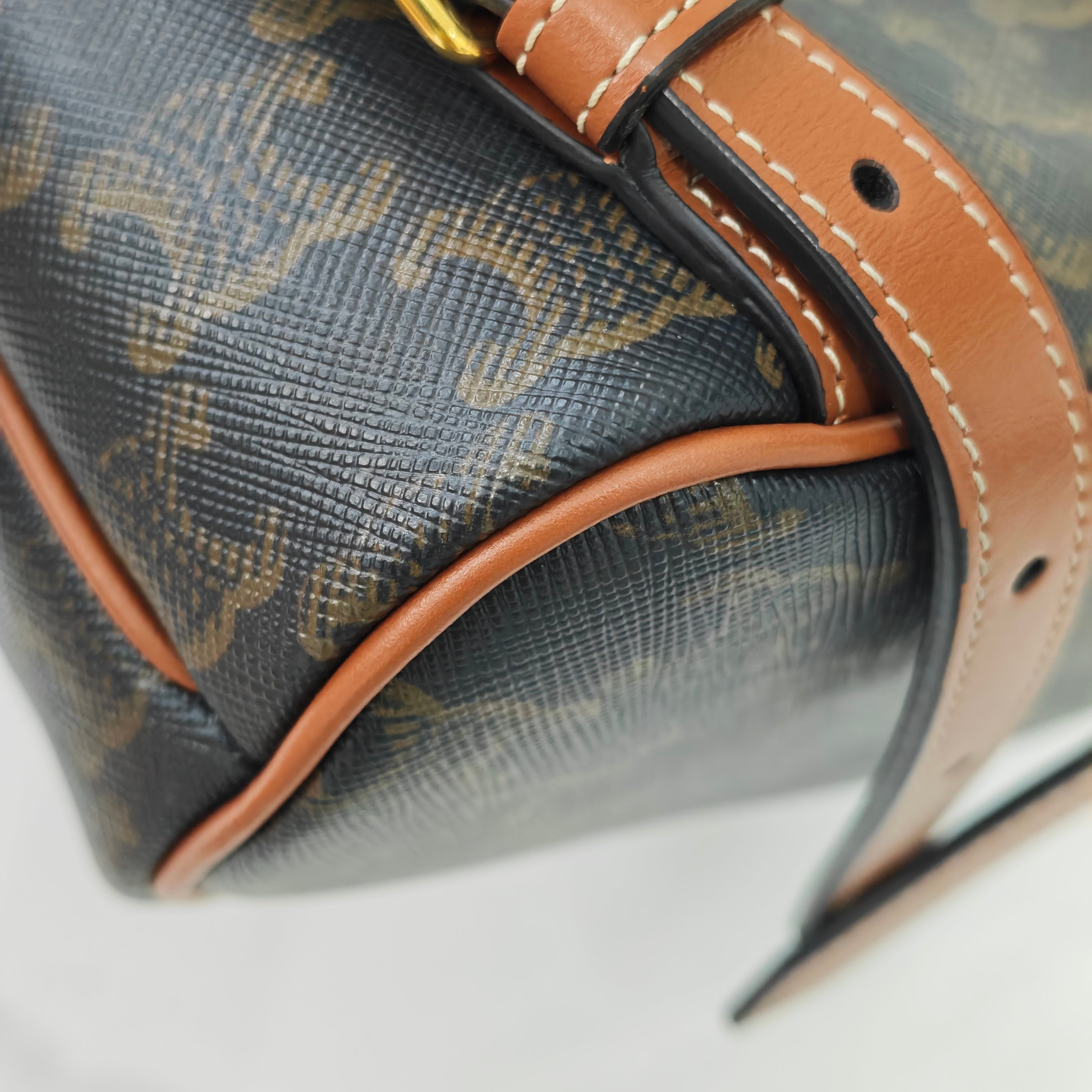 Celine Canvas Backpack