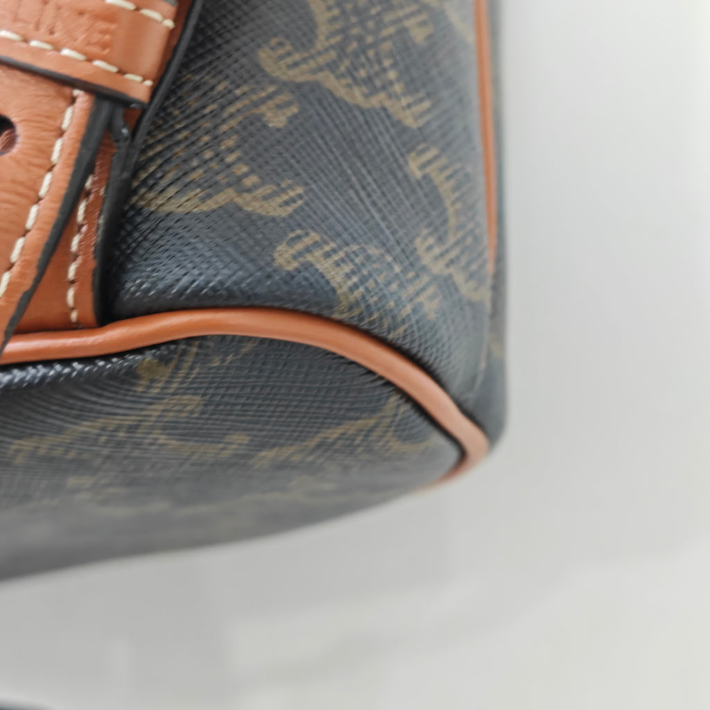 Celine Canvas Backpack