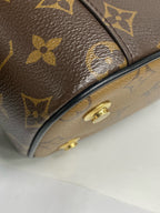 Louis Vuitton Shoulder Bag