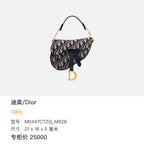 Dior Blue Saddle Bag M0447CTZQ_M928