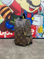 Louis Vuitton Backpack M41562