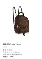 Louis Vuitton Backpack M41562