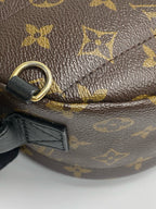 Louis Vuitton Backpack M41562