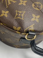 Louis Vuitton Backpack M41562