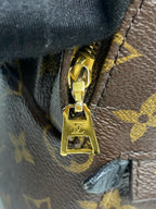 Louis Vuitton Backpack M41562
