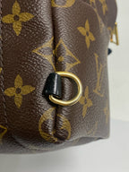 Louis Vuitton Backpack M41562