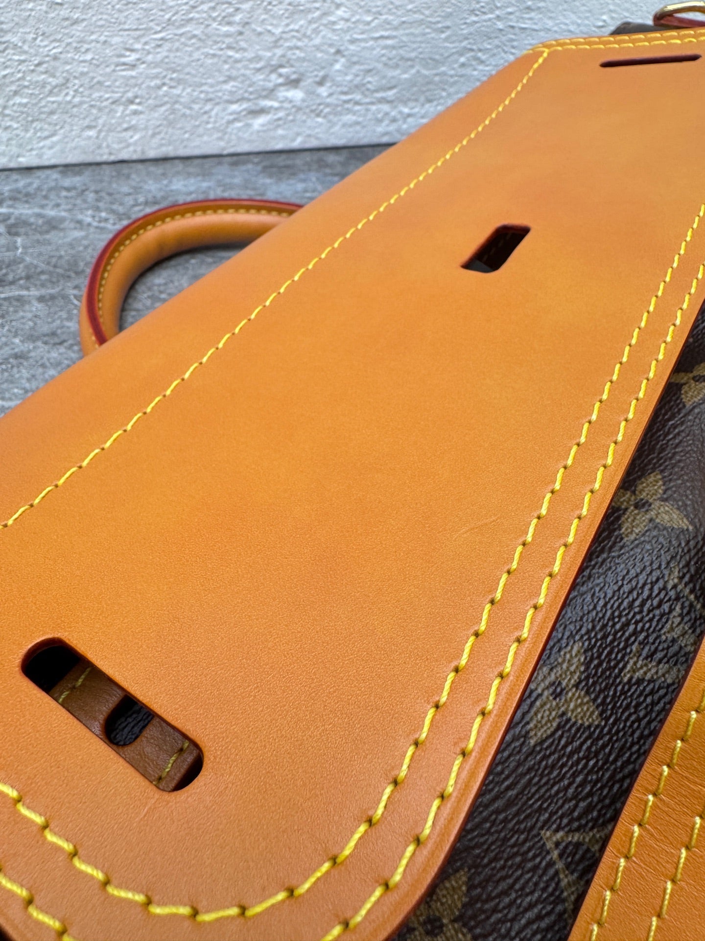 Louis Vuitton Backpack
