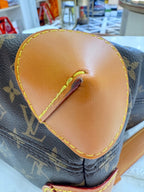 Louis Vuitton Backpack