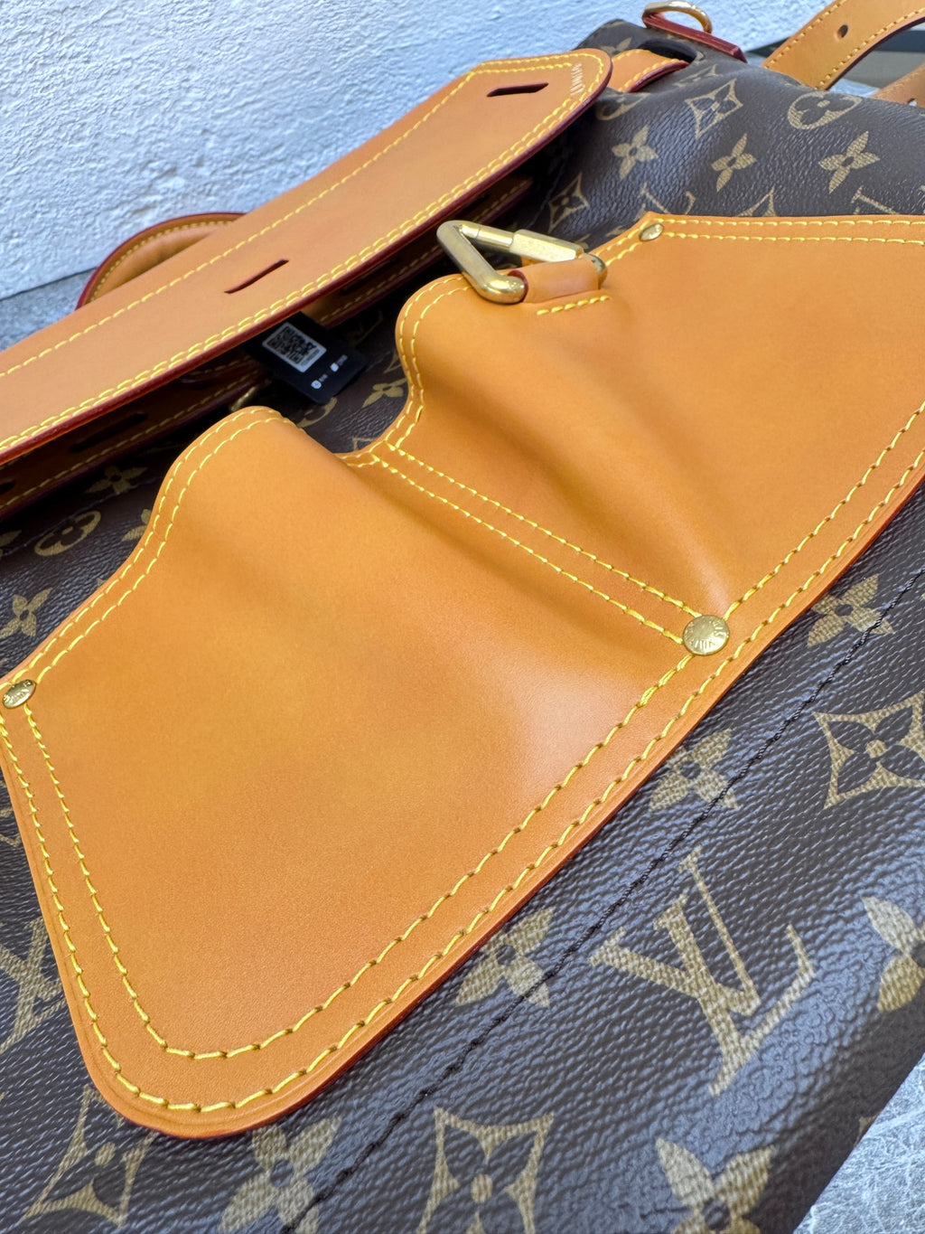 Louis Vuitton Backpack