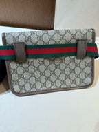 Gucci Classic Sling Bag