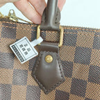 Louis Vuitton Brown