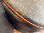 Celine AVA logo-print handbag Canvas Brown 193952BZJ.04LU