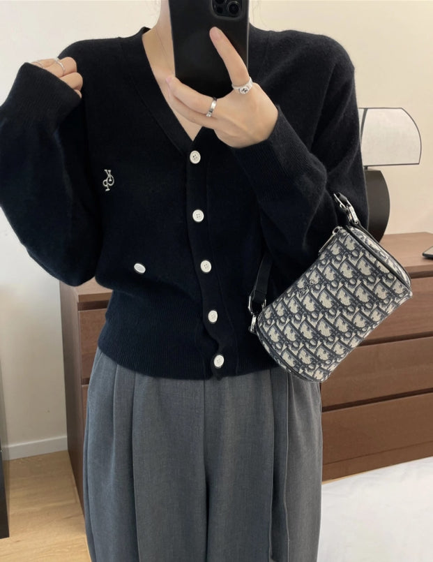 Dior Crossbody