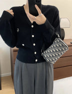 Dior Crossbody