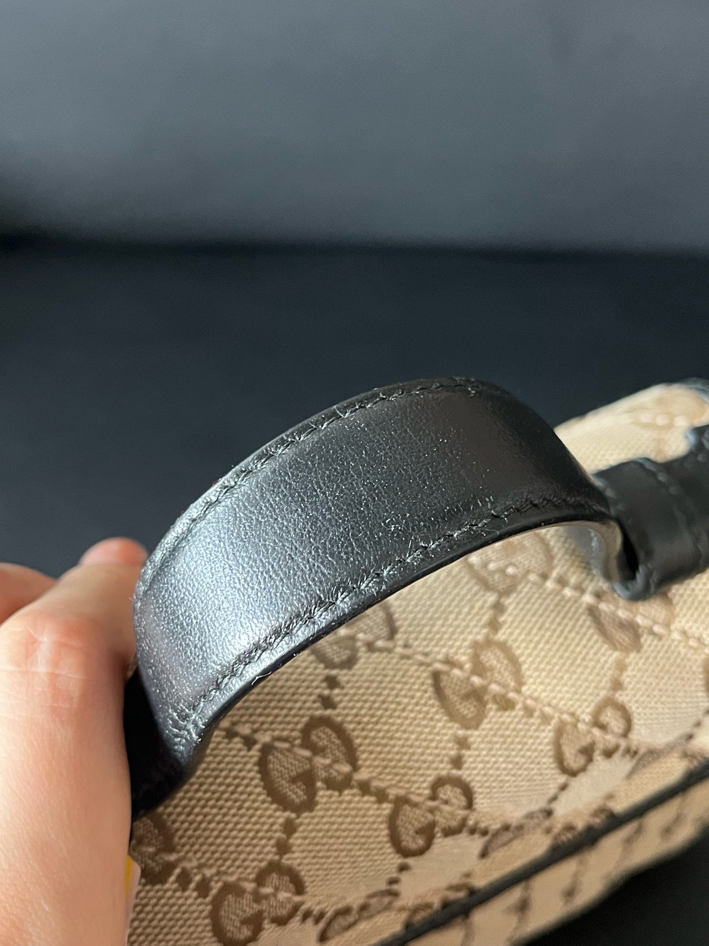 Gucci Canvas Crossbody