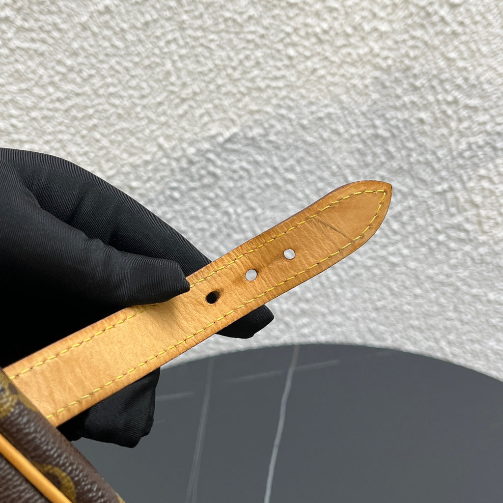 Louis Vuitton Shoulder Bag