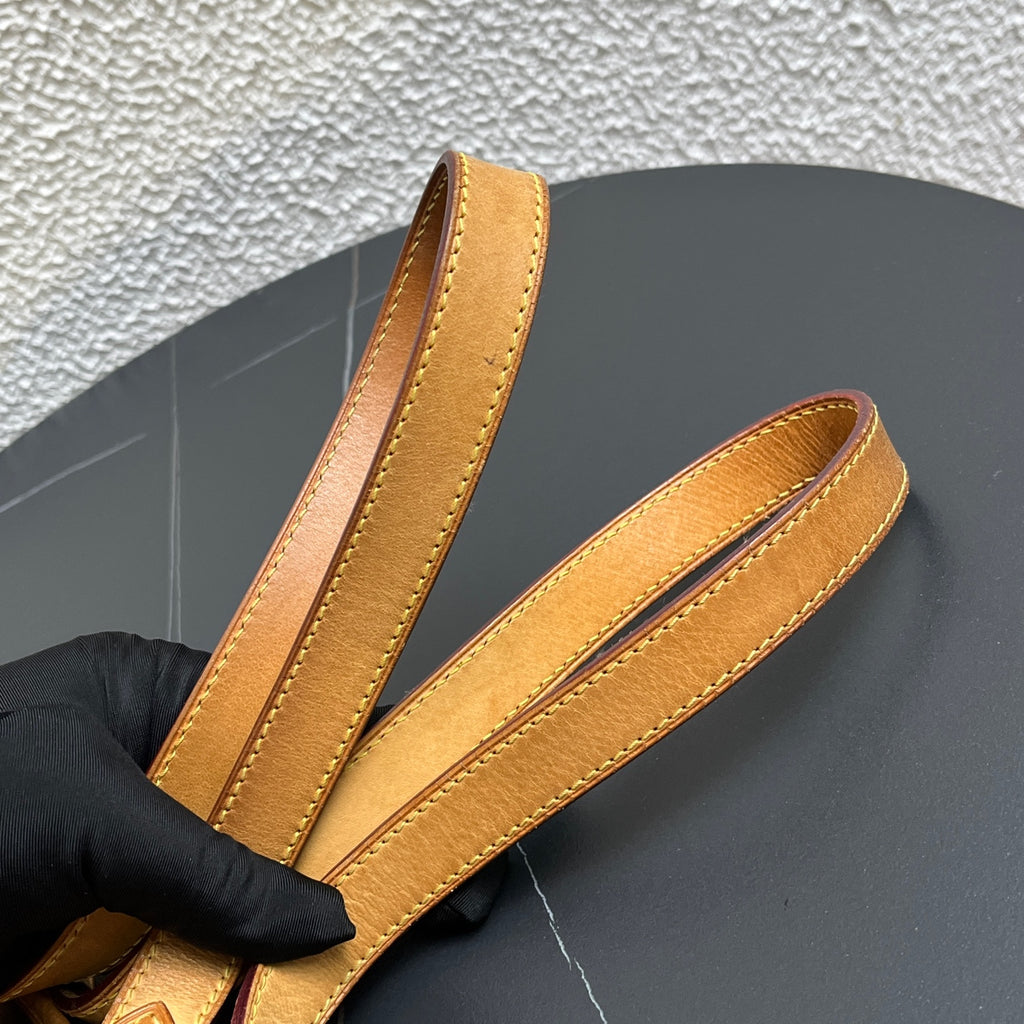 Louis Vuitton Shoulder Bag