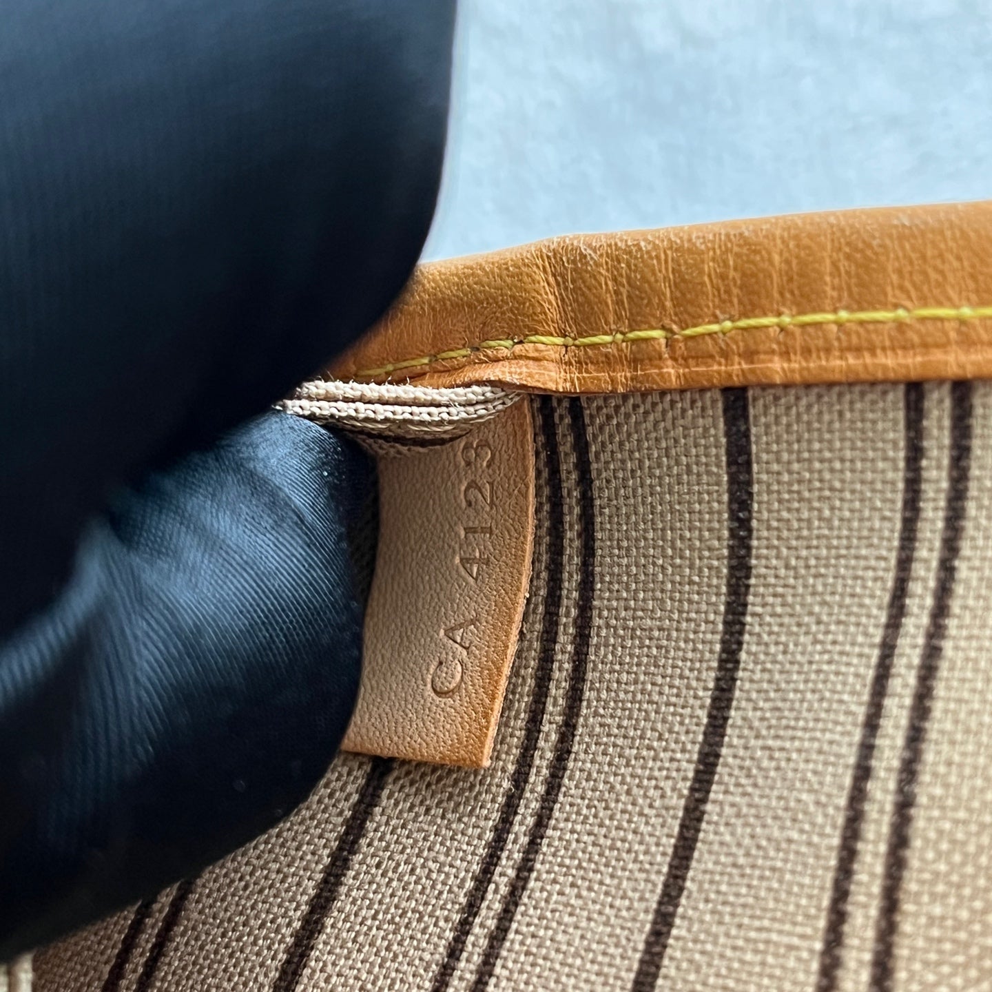 Louis Vuitton Shoulder Bag