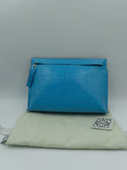 Loewe Clutch