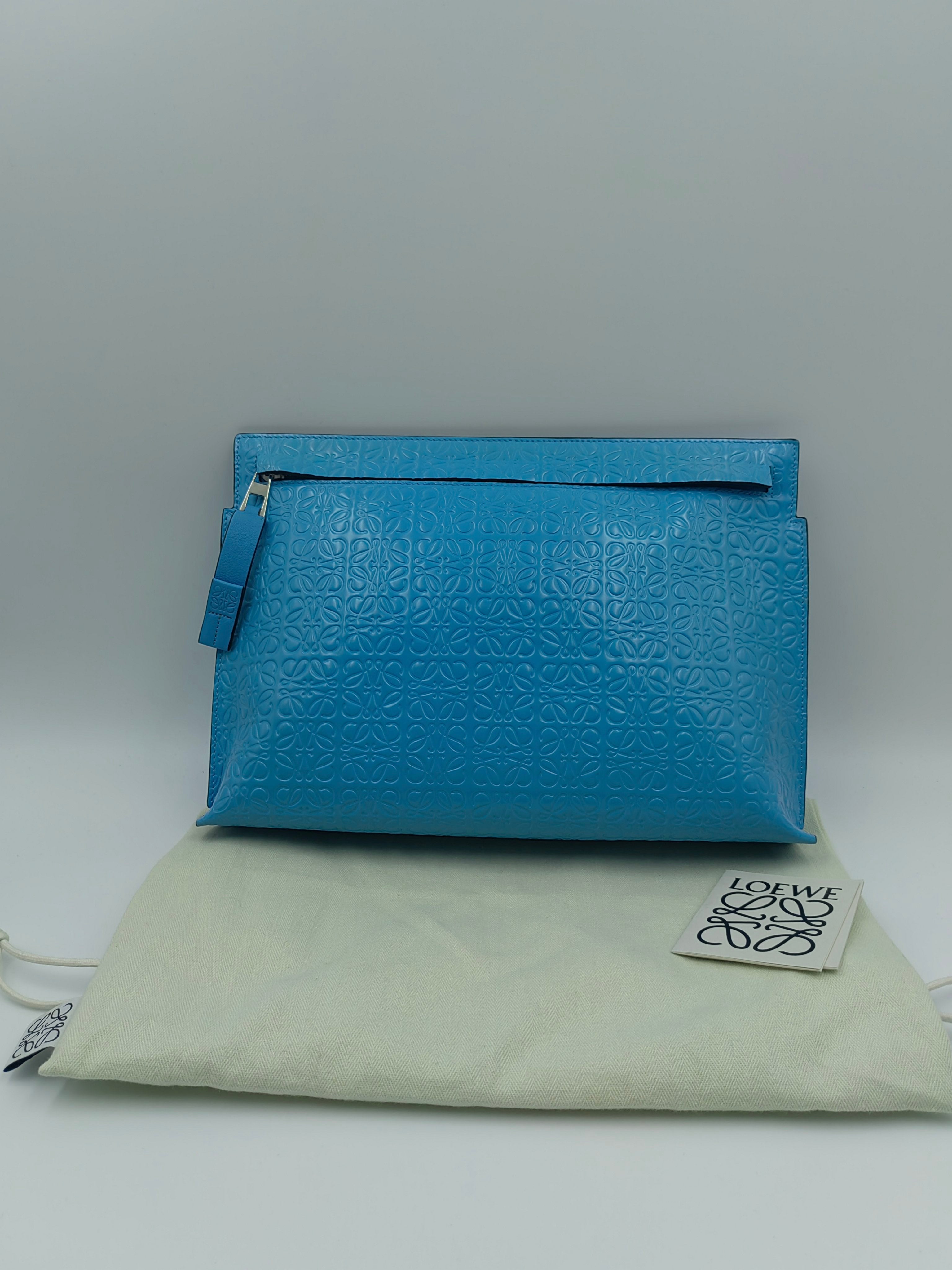 Loewe Clutch
