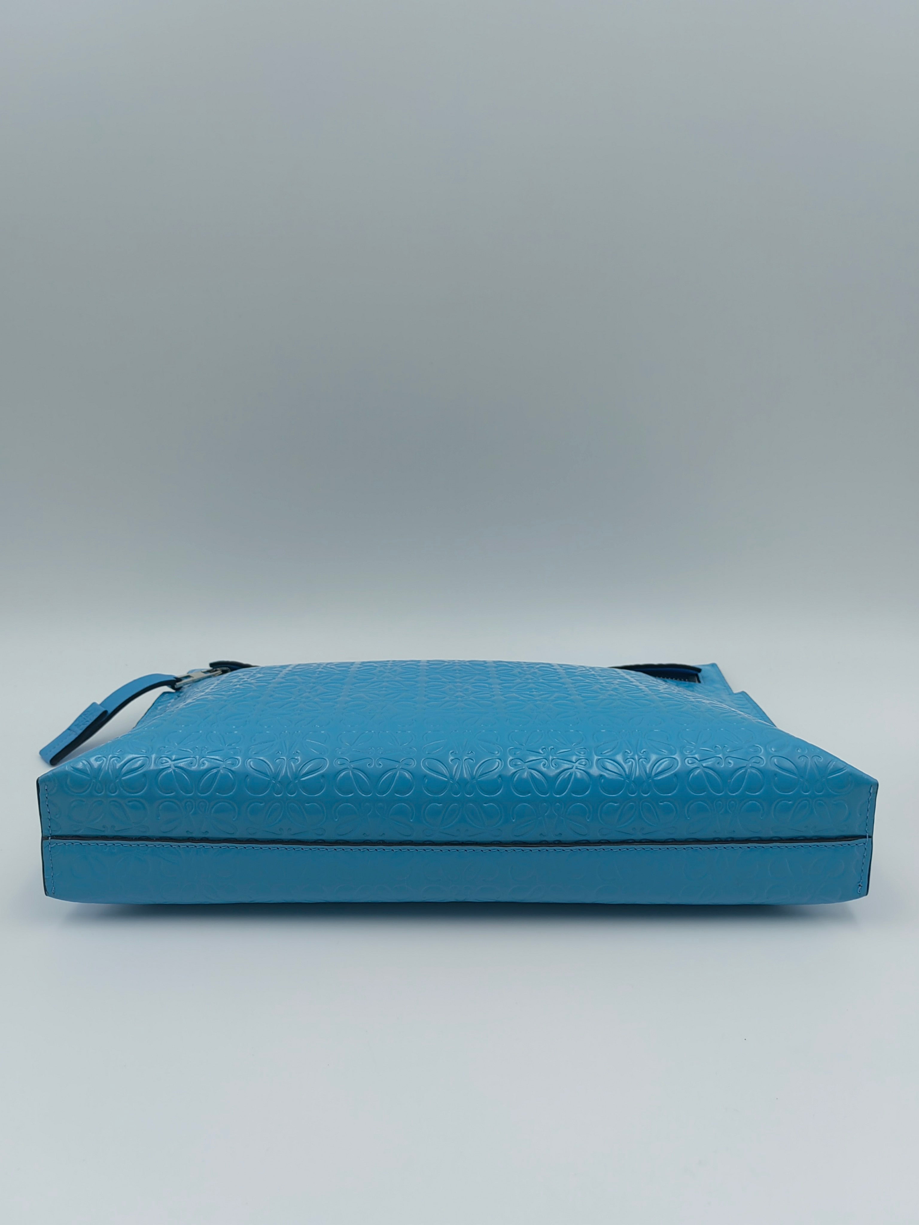 Loewe Clutch
